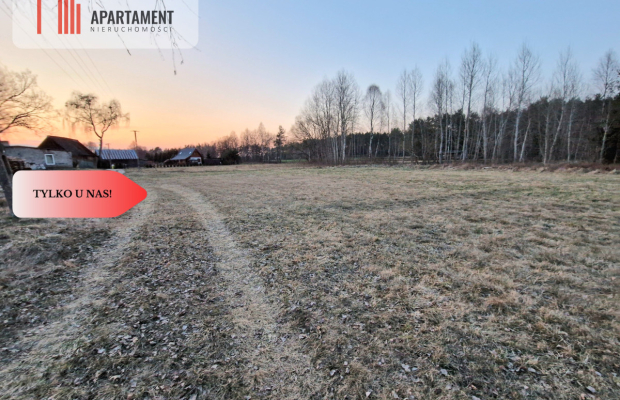Spokojna okolica, blisko lasu!