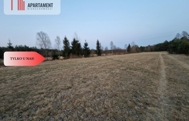 Spokojna okolica, blisko lasu!