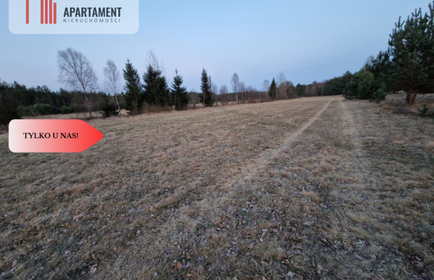 Spokojna okolica, blisko lasu!