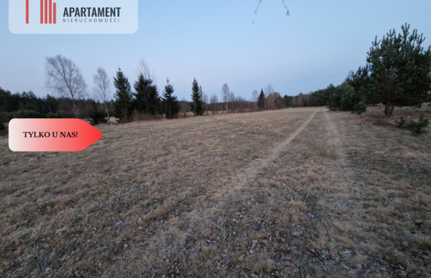 Spokojna okolica, blisko lasu!