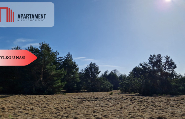 Tylko u nas! Kompleks działek z MPZP