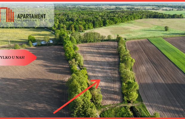 Duża Eko działka przy rzece i lesie