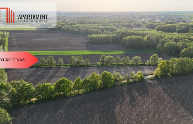 Duża Eko działka przy rzece i lesie