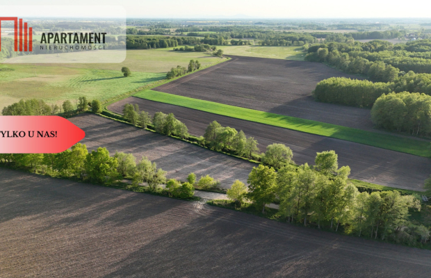 Duża Eko działka przy rzece i lesie