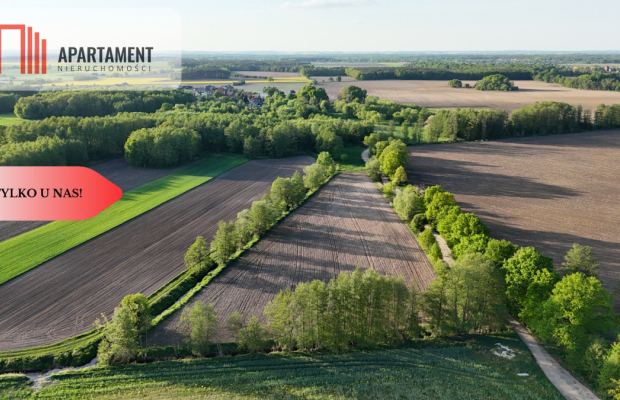 Duża Eko działka przy rzece i lesie