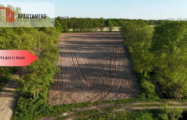 Duża Eko działka przy rzece i lesie