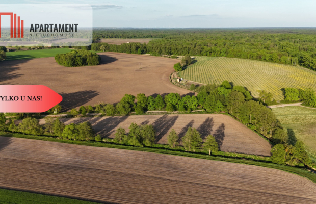 Duża Eko działka przy rzece i lesie