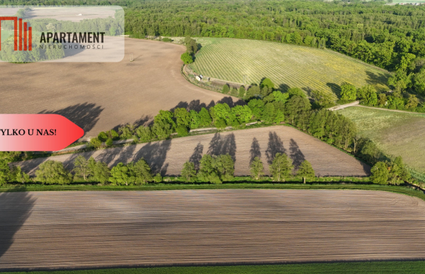 Duża Eko działka przy rzece i lesie