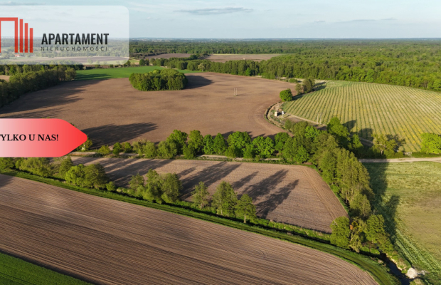 Duża Eko działka przy rzece i lesie