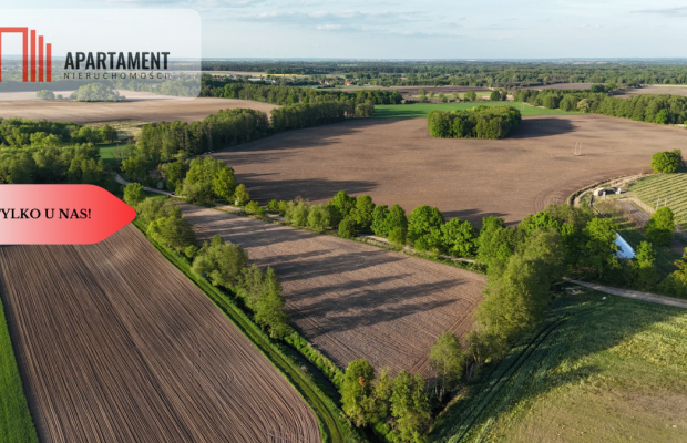 Duża Eko działka przy rzece i lesie