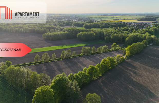 Duża Eko działka przy rzece i lesie