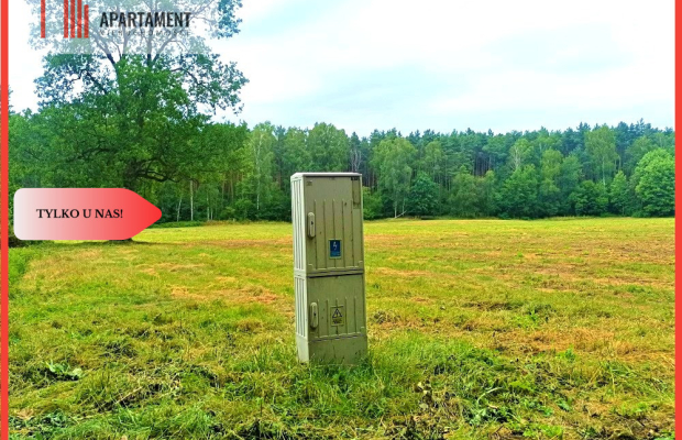 TYLKO U NAS - PAWŁÓWEK 1,8ha LAS CISZA SPOKÓJ
