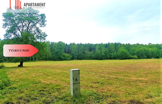 TYLKO U NAS - PAWŁÓWEK 1,8ha LAS CISZA SPOKÓJ