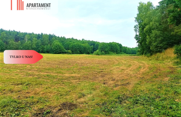 TYLKO U NAS - PAWŁÓWEK 1,8ha LAS CISZA SPOKÓJ
