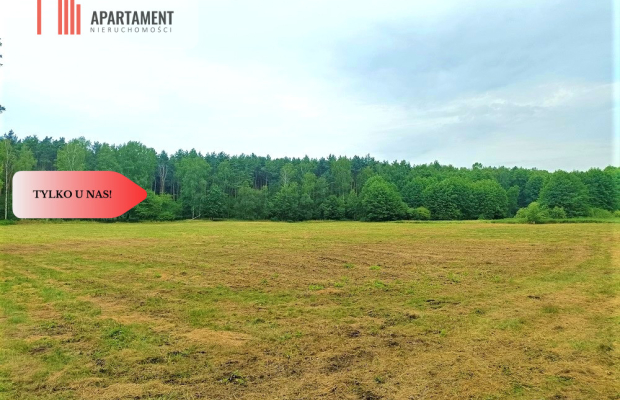 TYLKO U NAS - PAWŁÓWEK 1,8ha LAS CISZA SPOKÓJ