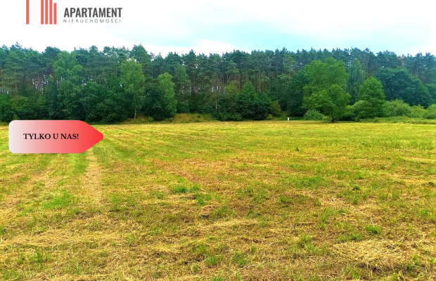 TYLKO U NAS - PAWŁÓWEK 1,8ha LAS CISZA SPOKÓJ
