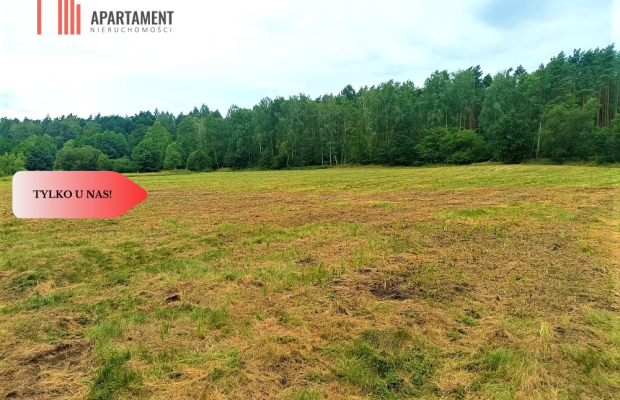 TYLKO U NAS - PAWŁÓWEK 1,8ha LAS CISZA SPOKÓJ