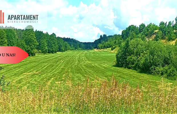 TYLKO U NAS - PAWŁÓWEK 1,8ha LAS CISZA SPOKÓJ