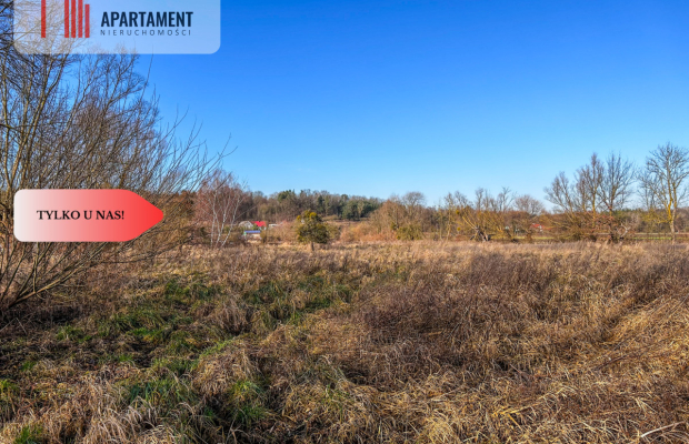 Tylko u nas! Działka 1,5ha, staw, pomost, WZ