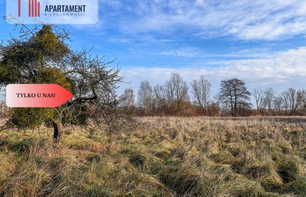 Tylko u nas! Działka 1,5ha, staw, pomost, WZ