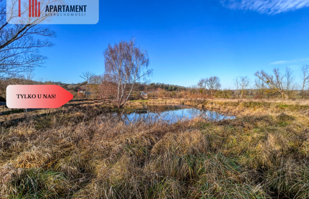 Tylko u nas! Działka 1,5ha, staw, pomost, WZ