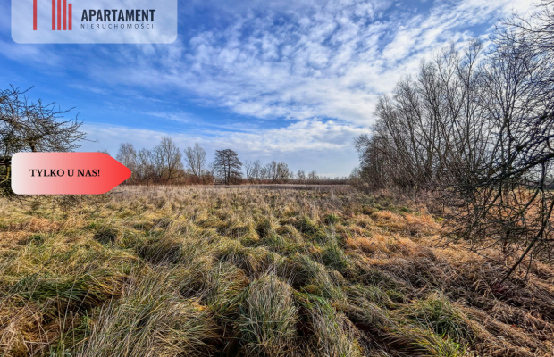 Tylko u nas! Działka 1,5ha, staw, pomost, WZ