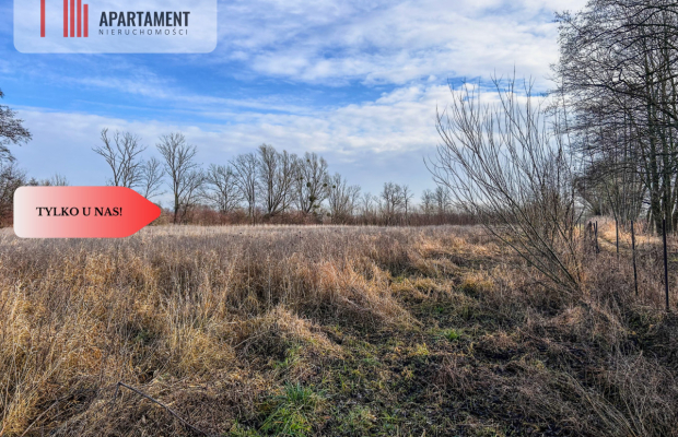 Tylko u nas! Działka 1,5ha, staw, pomost, WZ