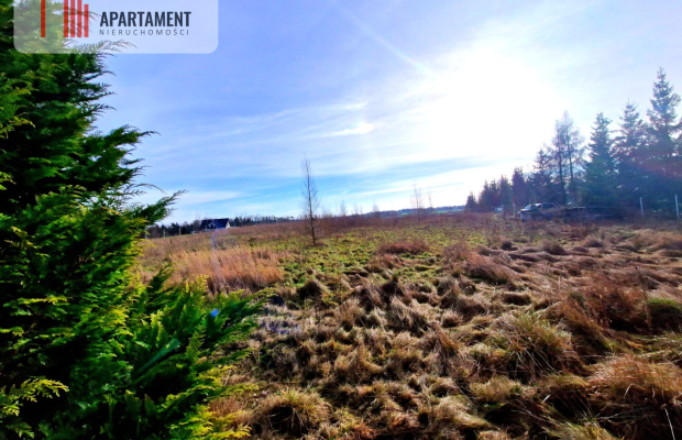 Wymarzone miejsce na dom z widokiem na las!