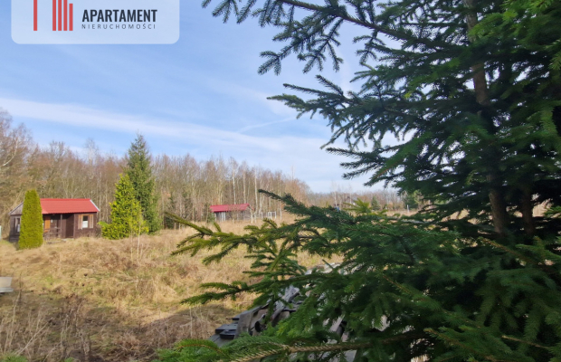 Wymarzone miejsce na dom z widokiem na las!