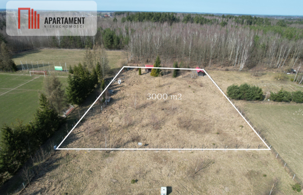 Wymarzone miejsce na dom z widokiem na las!