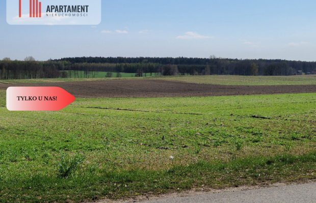 Działki budowlane z WZ w ładnej okolicy