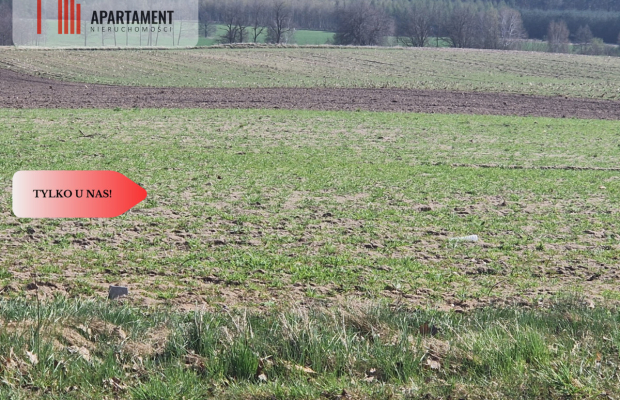 Działki budowlane z WZ w ładnej okolicy