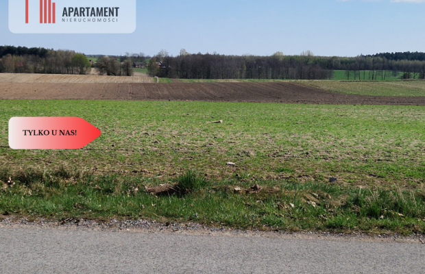 Działki budowlane z WZ w ładnej okolicy