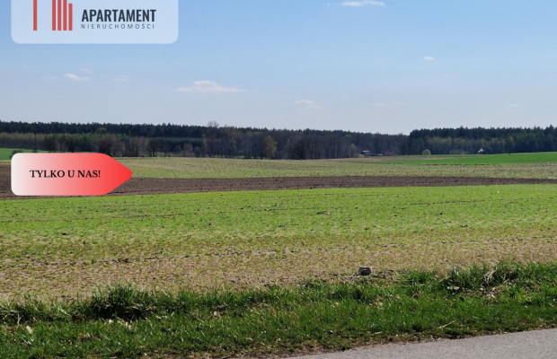 Działki budowlane z WZ w ładnej okolicy