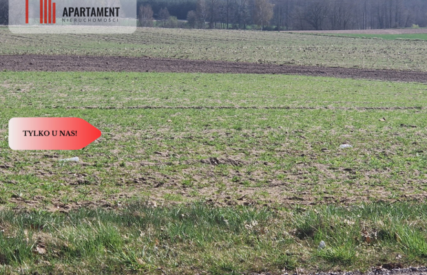 Działki budowlane z WZ w ładnej okolicy