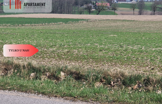 Działki budowlane z WZ w ładnej okolicy