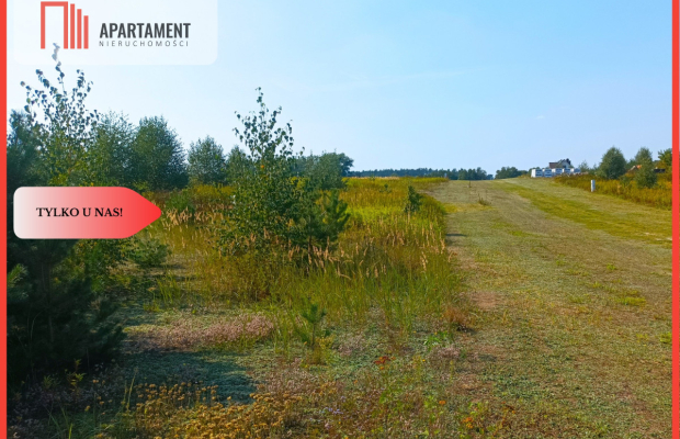 TYLKO U NAS !!! ATRAKCYJNA BLISKO STELCHNA I LASU