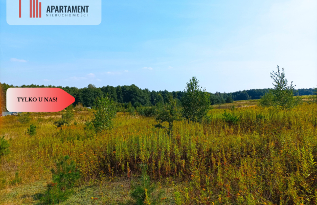 TYLKO U NAS !!! ATRAKCYJNA BLISKO STELCHNA I LASU