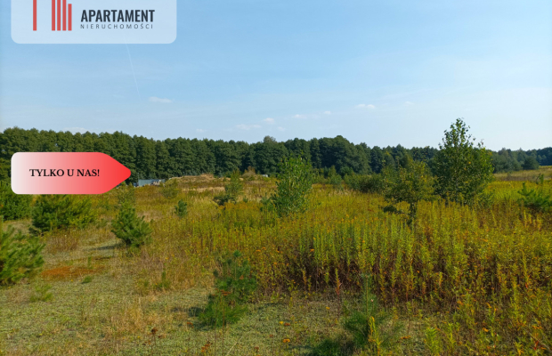 TYLKO U NAS !!! ATRAKCYJNA BLISKO STELCHNA I LASU