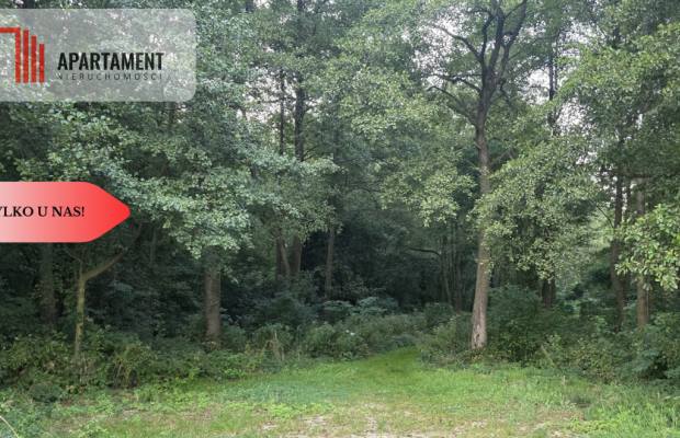 Działka blisko jeziora ,las, 3300m2