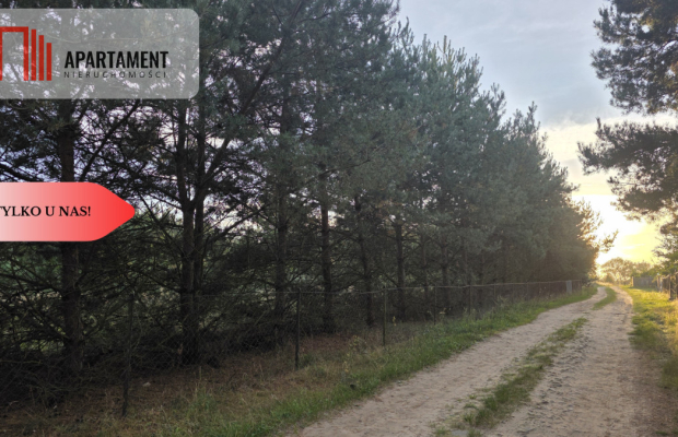 Działka blisko jeziora ,las, 3300m2