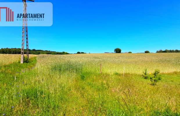 Duża działka blisko jeziora z warunkami zabudowy!