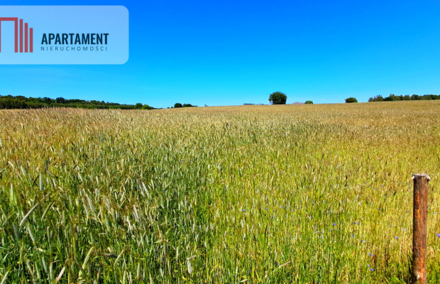 Duża działka blisko jeziora z warunkami zabudowy!