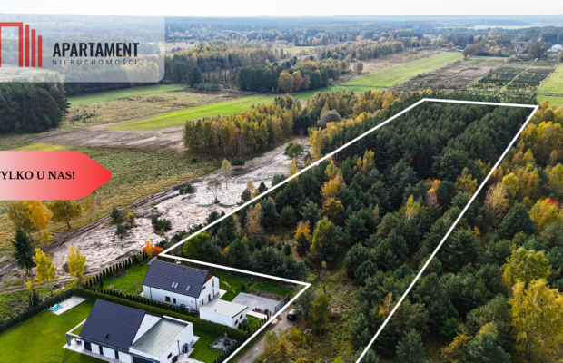 Działka z własnym lasem pod Łodzią!