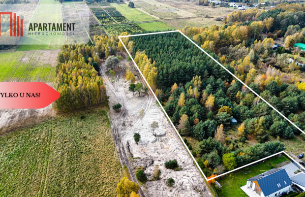 Działka z własnym lasem pod Łodzią!