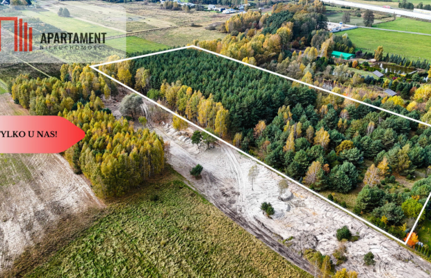 Działka z własnym lasem pod Łodzią!