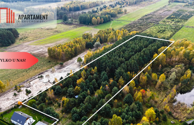 Działka z własnym lasem pod Łodzią!