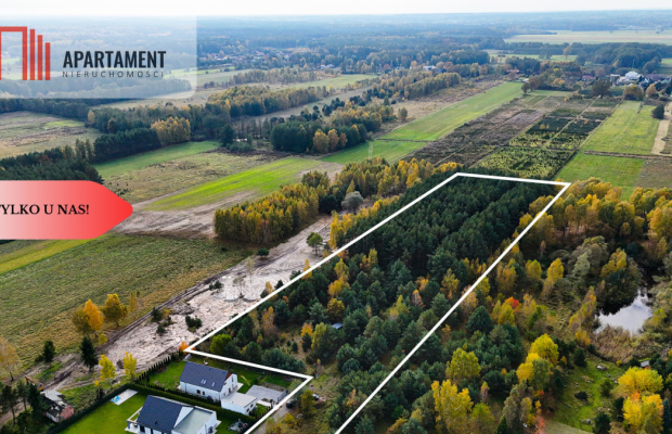 Działka z własnym lasem pod Łodzią!