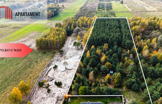 Działka z własnym lasem pod Łodzią!