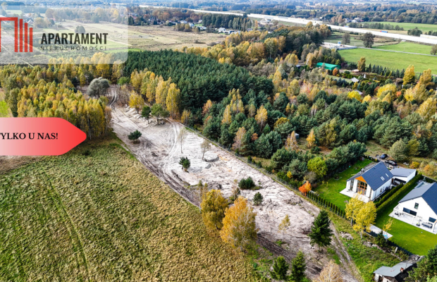 Działka z własnym lasem pod Łodzią!